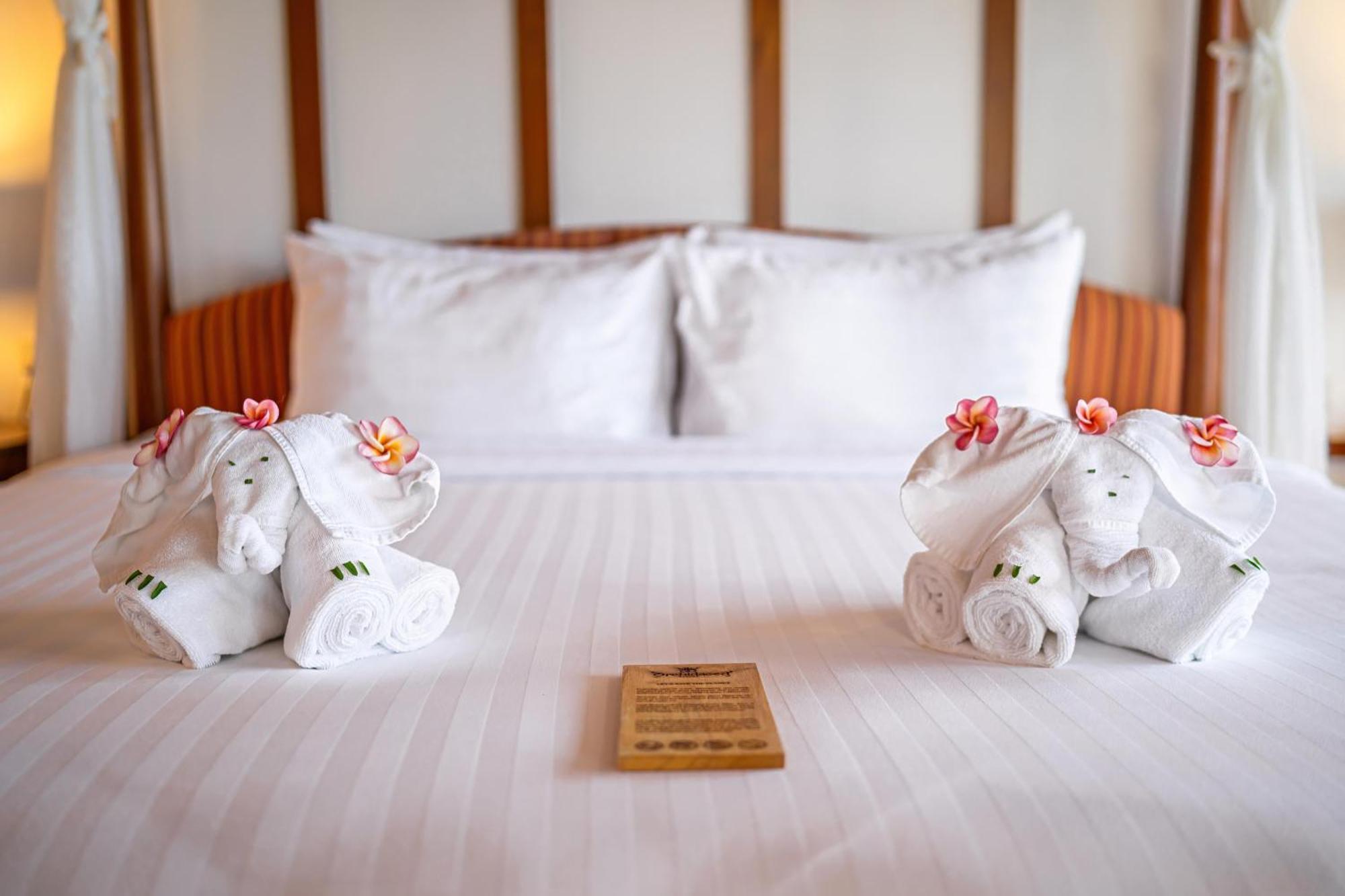 Orchidacea Resort - Kata Beach Bilik gambar